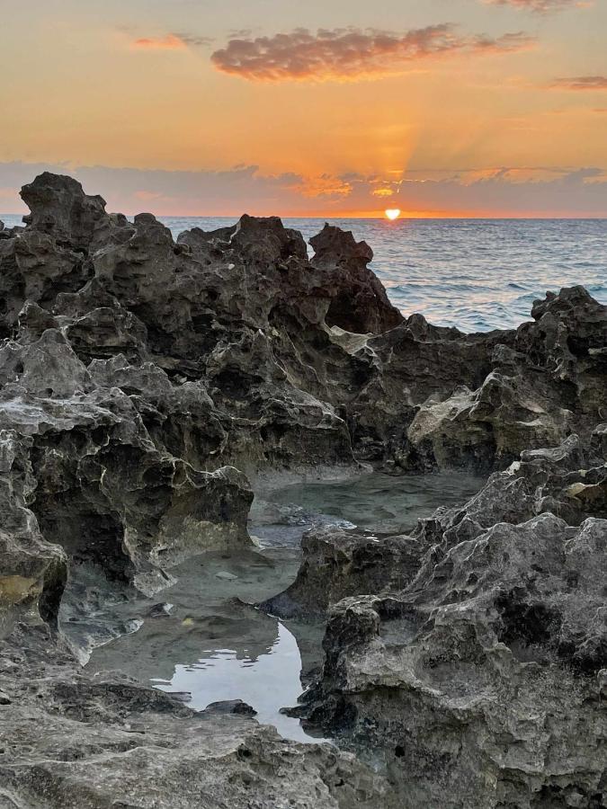 El Mundo Soleado Διαμέρισμα Santa Pola Εξωτερικό φωτογραφία