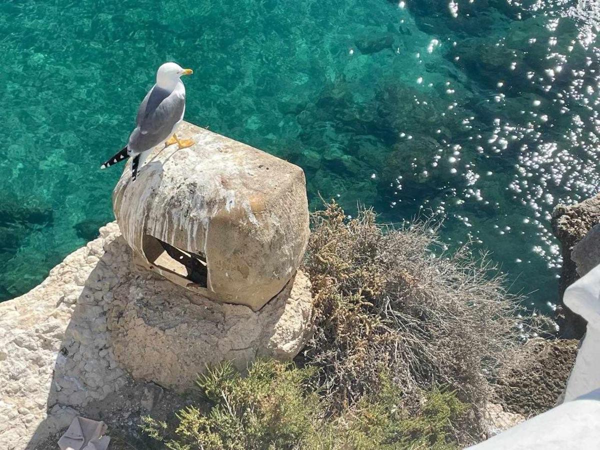 El Mundo Soleado Διαμέρισμα Santa Pola Εξωτερικό φωτογραφία
